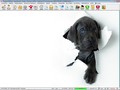 Programa para PetShop 4.0 Plus